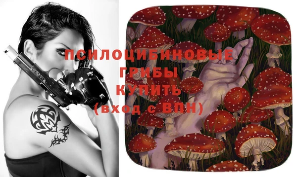 эйфоретик Алексин